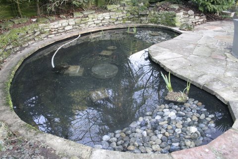 Pond clean after