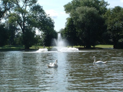 Lake Aeration and Fountain Systems